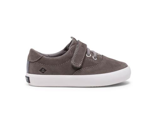 Sperry Spinnaker Washable Junior Sneakers Grey | DAV-097458